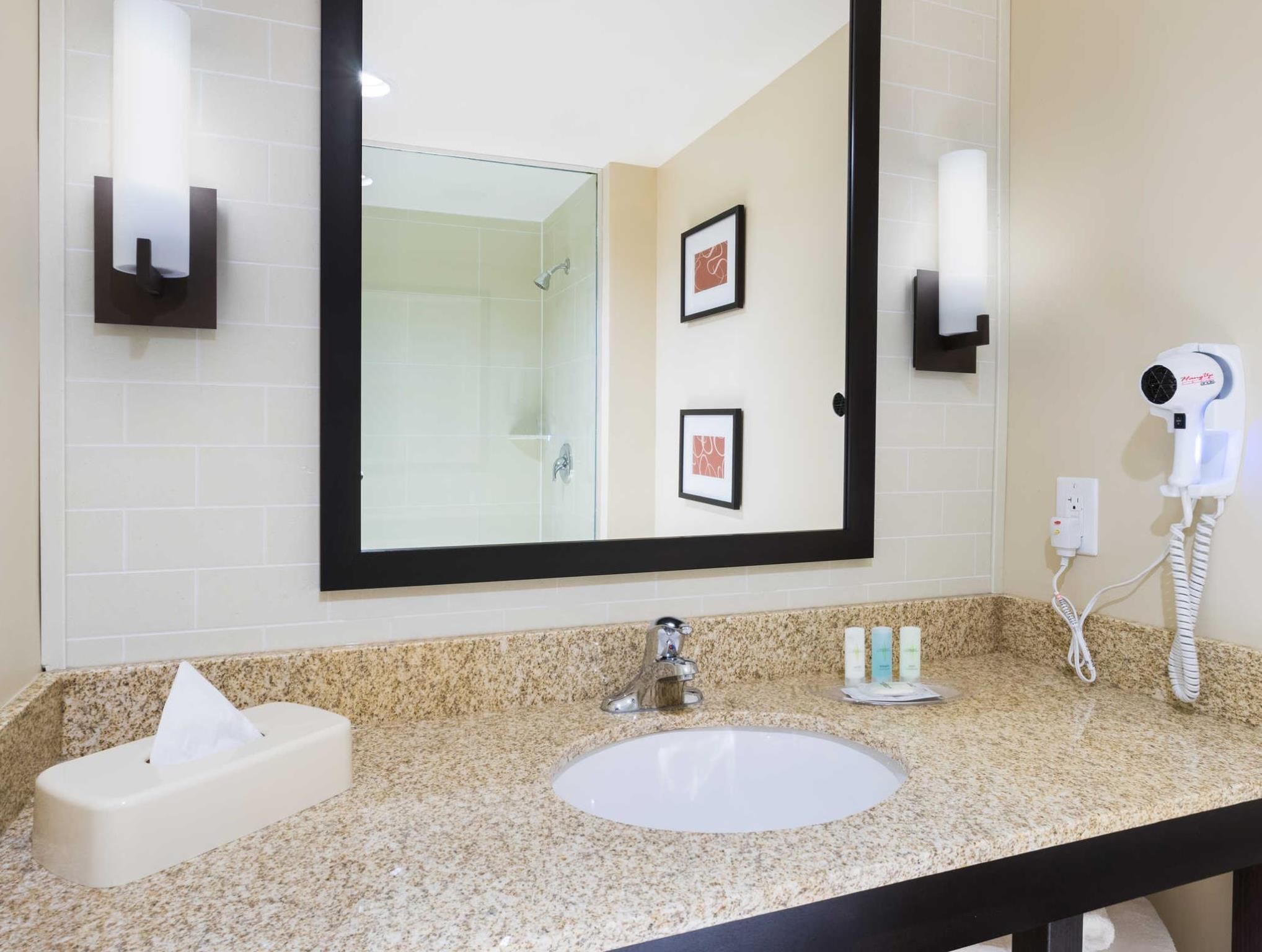 1 King Bed, Suite, Nonsmoking, Accessible