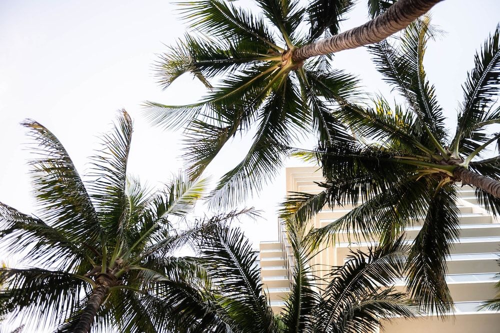 undefined W South Beach 8