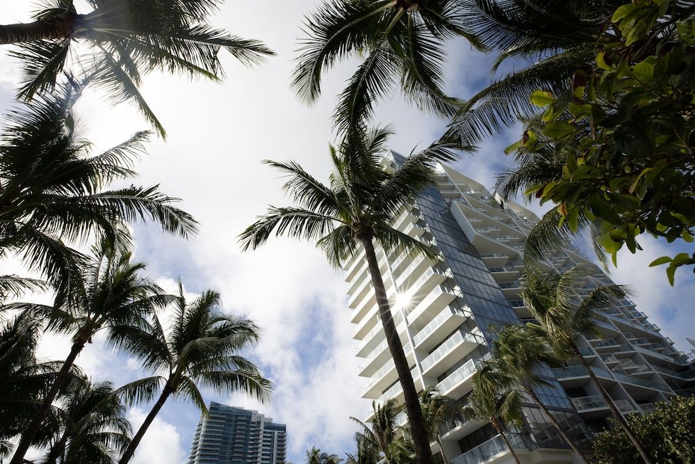 undefined W South Beach 7