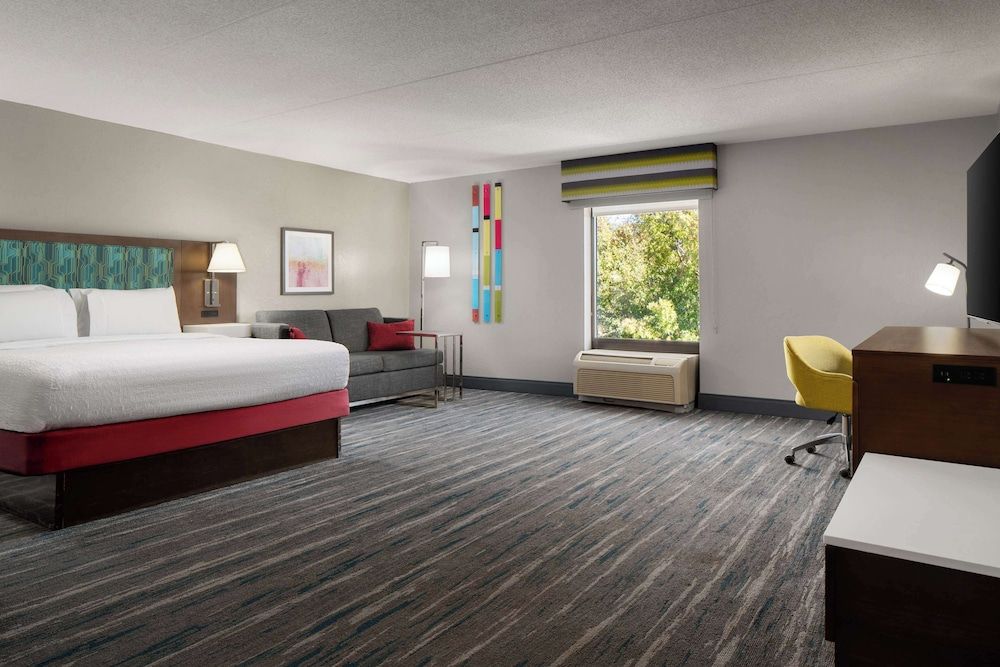 Room, 1 King Bed