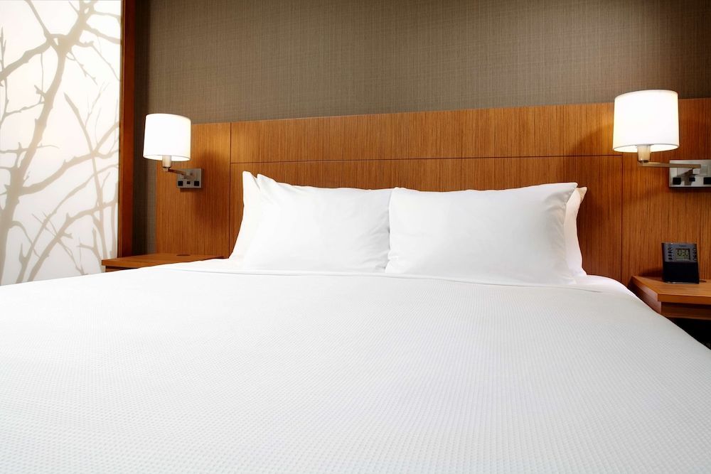 Room, 1 King Bed with Sofa bed