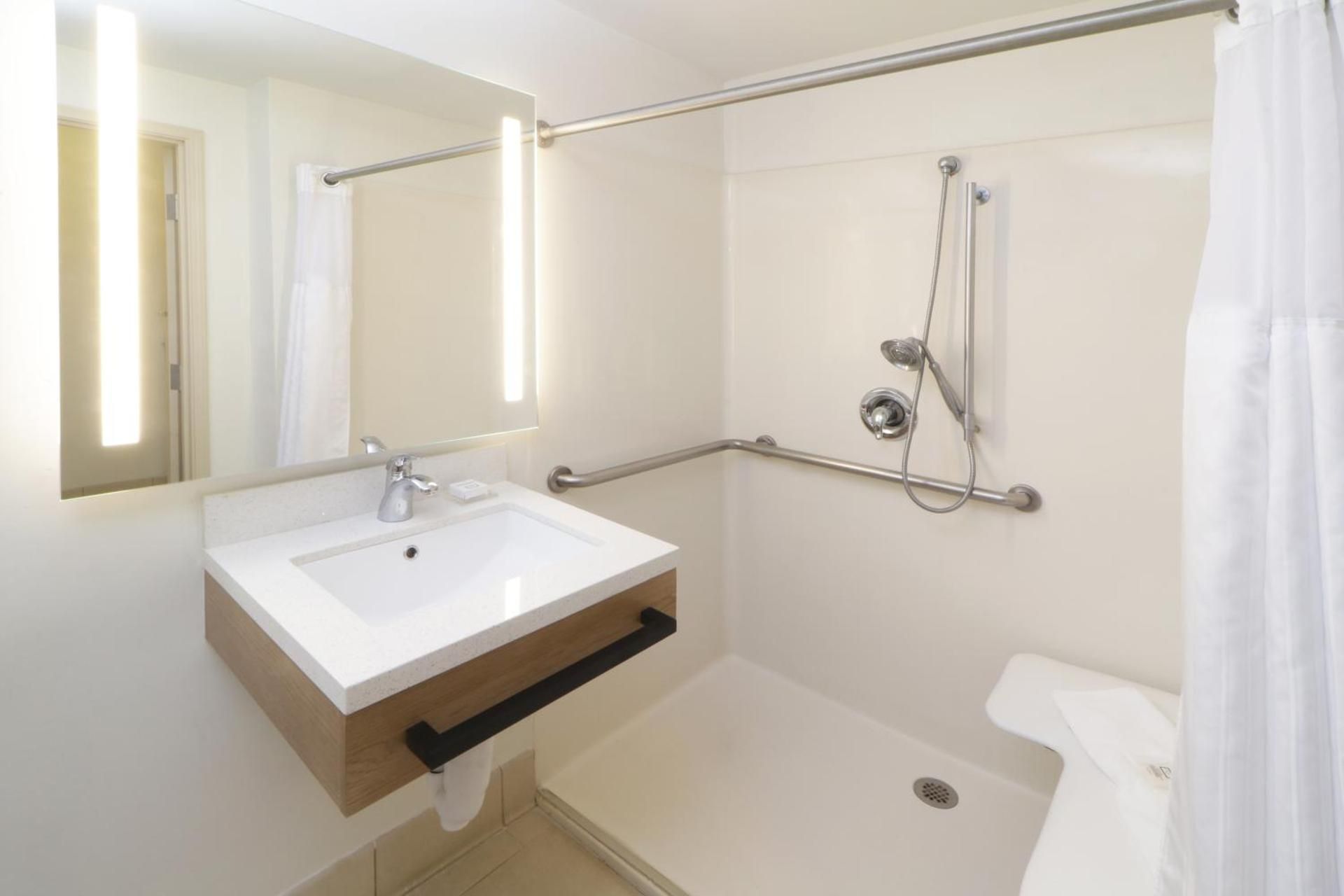 1 King Bed, One-Bedroom,Mobility/Hearing Access Suite,Tub w/Grab Bars,No Smoking