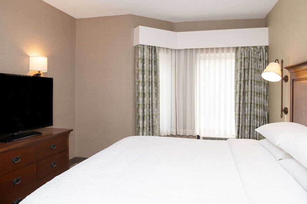 Suite, One King and One Sofa Bed (with Kitchen)