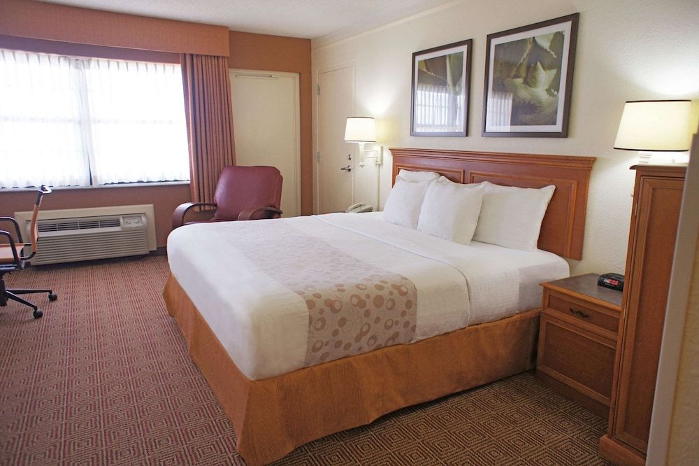 Room, 1 King Bed, Non Smoking (Pet Friendly)
