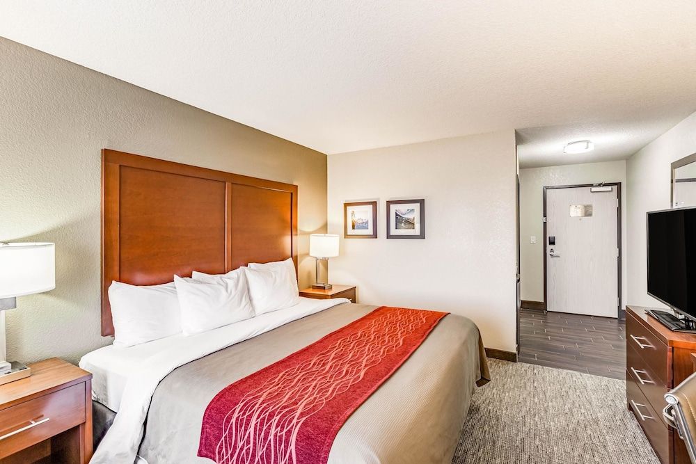 Room, 1 King Bed, Accessible, Non Smoking