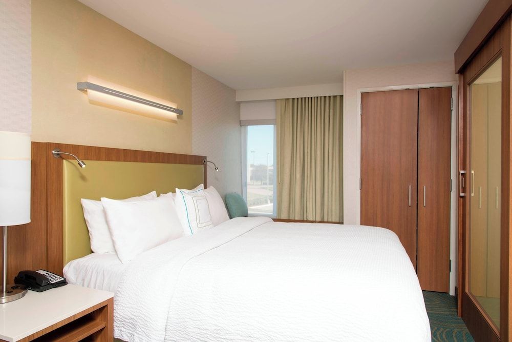 Suite, 1 King Bed with Sofa bed