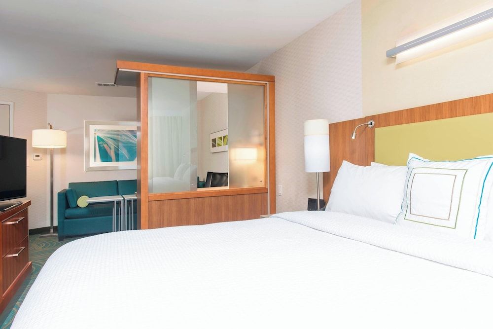 Suite, 1 King Bed with Sofa bed
