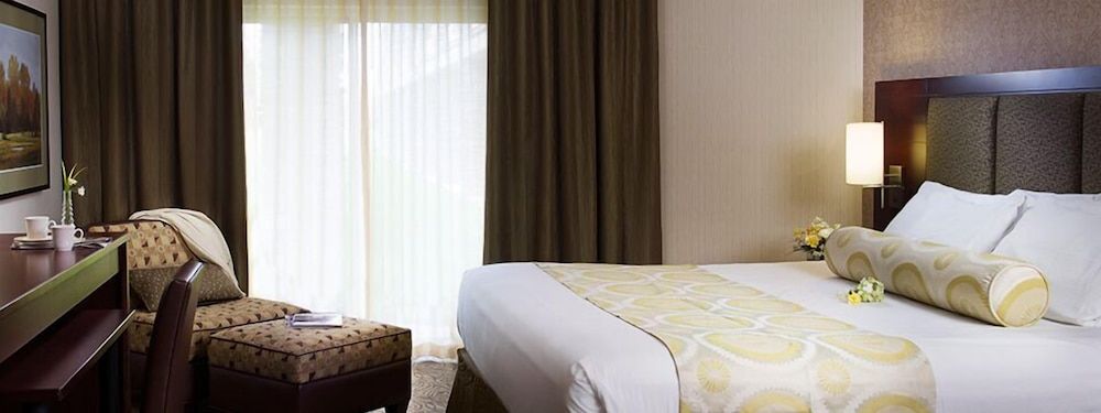 Deluxe Room, 1 King Bed, Accessible