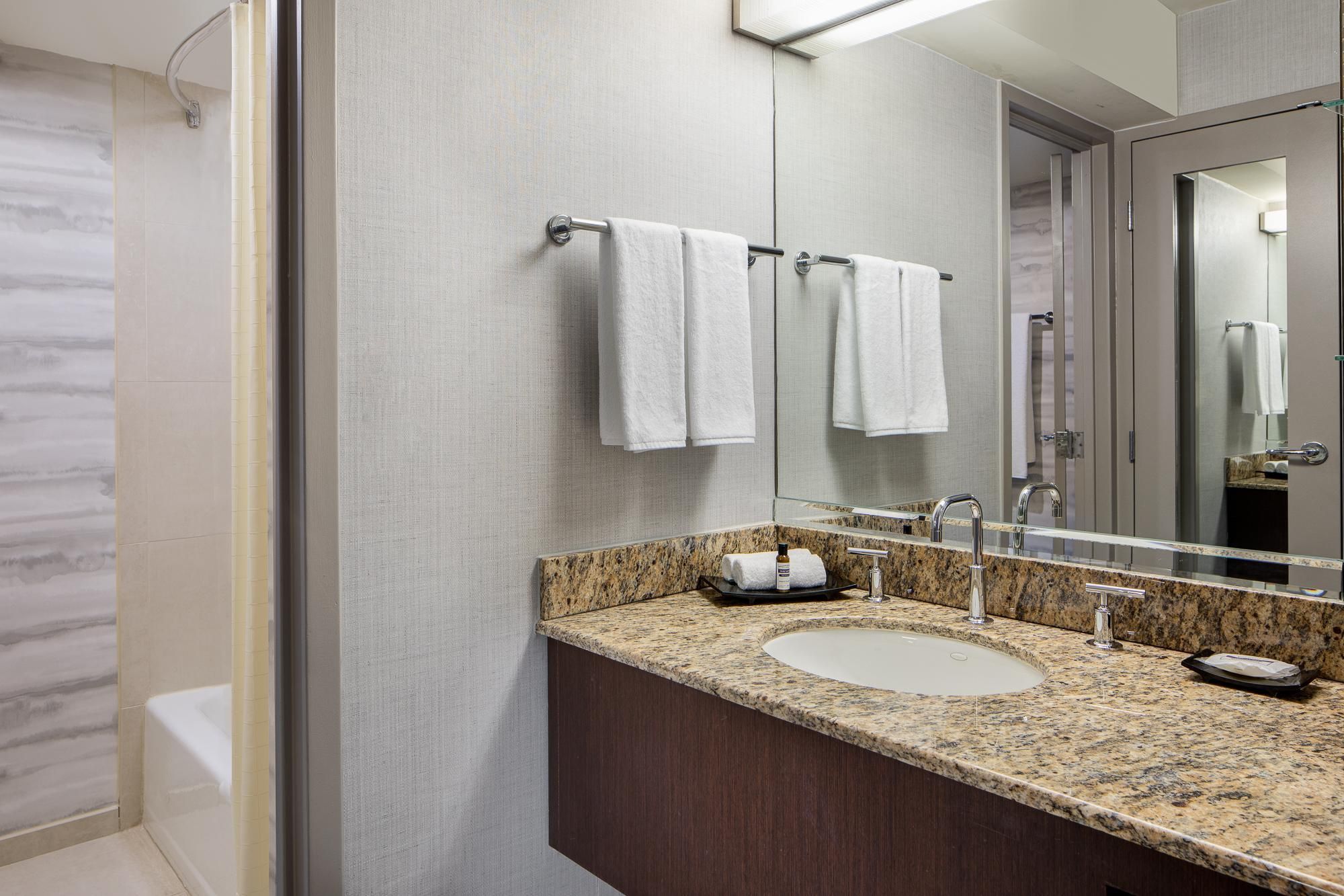 1 King Bed With ADA Shower