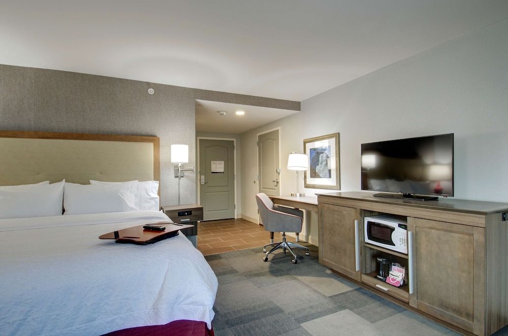 Room, 1 King Bed, Non Smoking, Refrigerator & Microwave