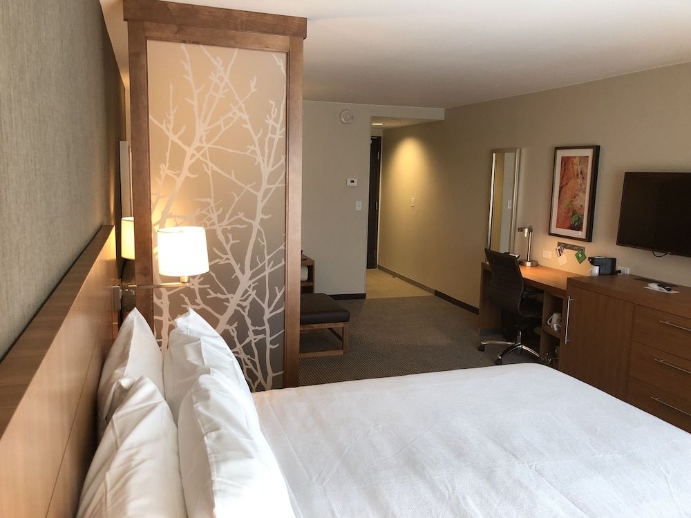 Room, 1 King Bed with Sofa bed