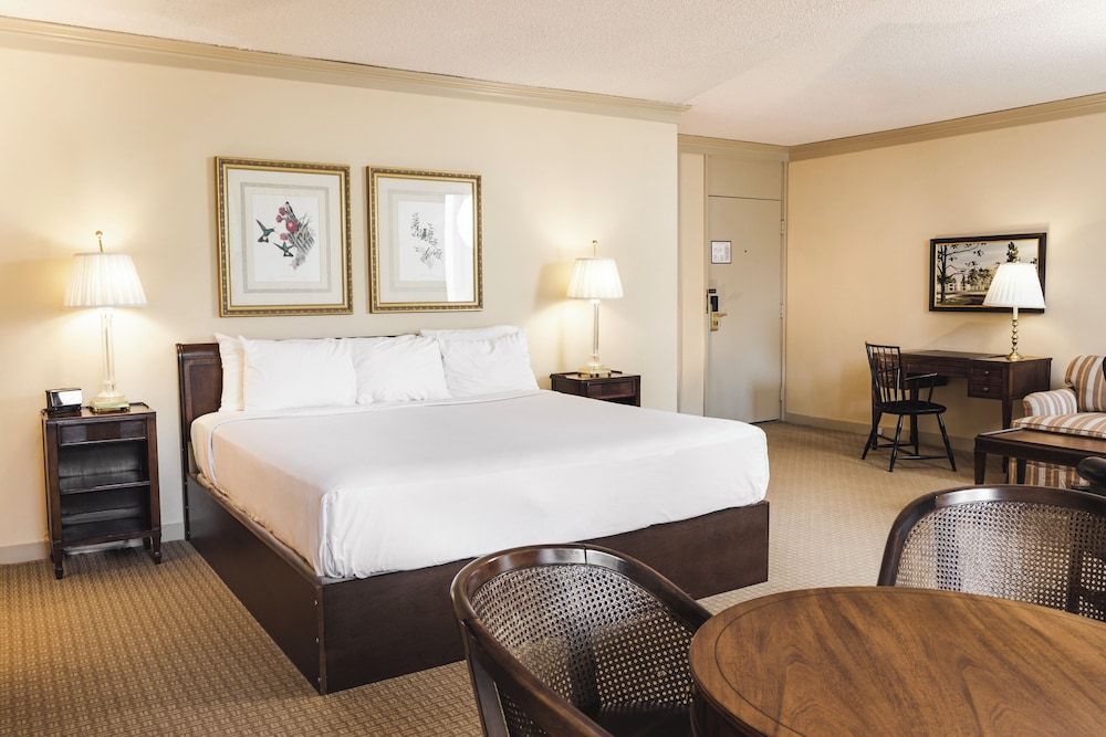 Deluxe Room, 1 King Bed with Sofa bed (Pond View)