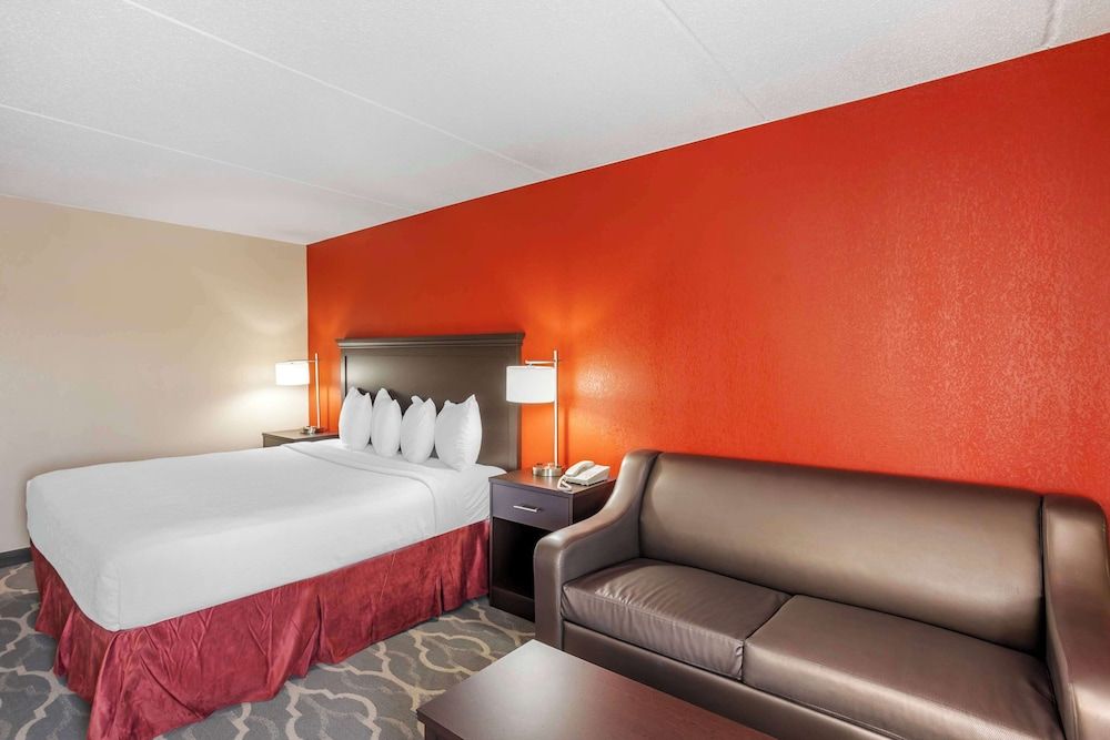 Standard Room, 1 King Bed, Non Smoking, Refrigerator & Microwave (Pet Friendly;with Sofabed)