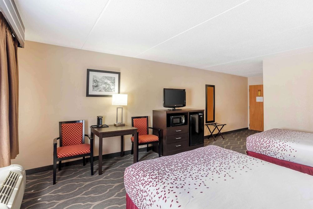 Standard Room, 2 Double Beds, Accessible, Refrigerator & Microwave (Pet Friendly)