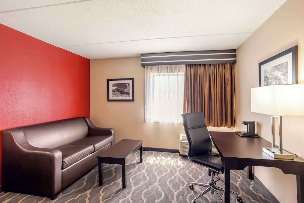 Standard Room, 1 King Bed, Non Smoking, Refrigerator & Microwave (Larger Room;No Pets in room type)