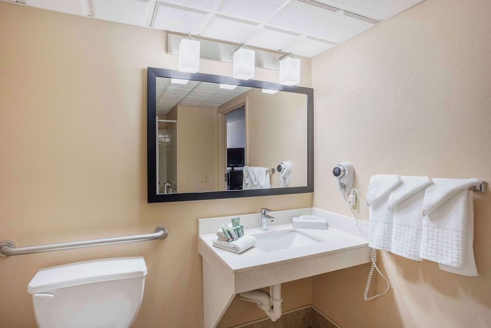Suite, 1 King Bed, Accessible, Refrigerator & Microwave (No Pets in room type;with Sofabed)