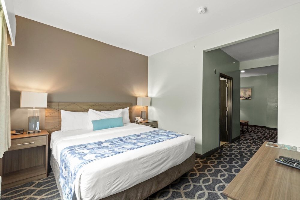 Room, 1 King Bed, Non Smoking