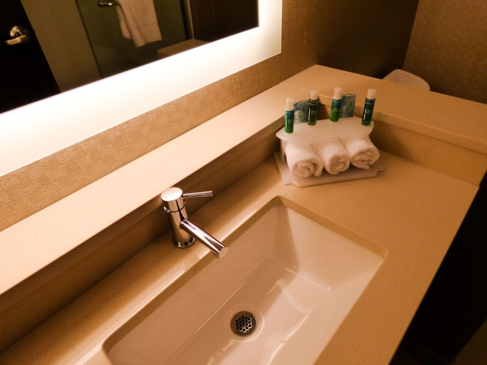 Standard Room, 1 King Bed, Accessible (Mobility Roll-in Shower)