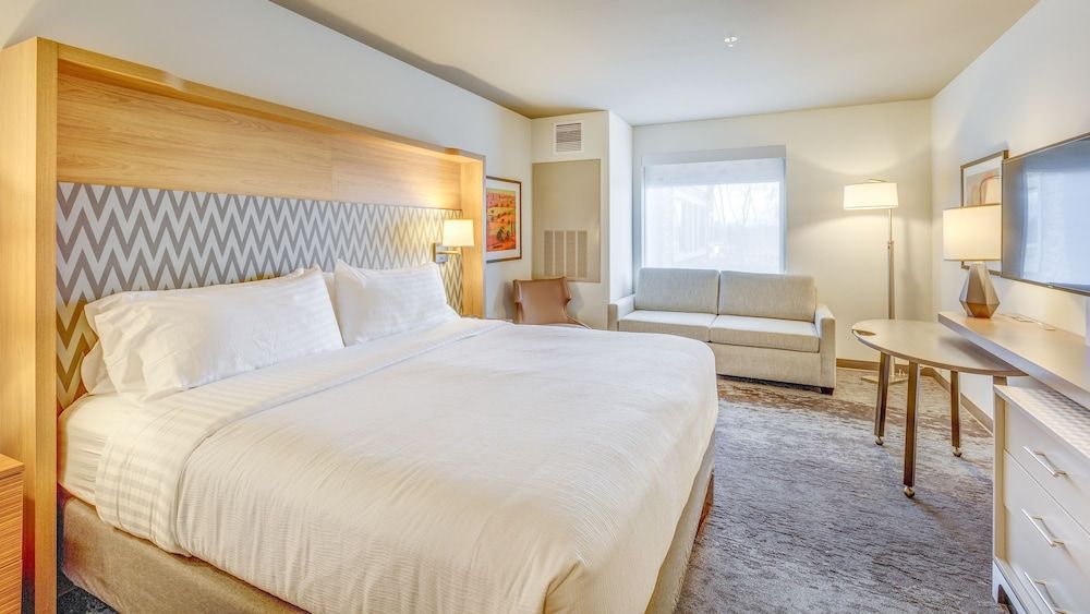 Standard Room, 1 King Bed with Sofa bed
