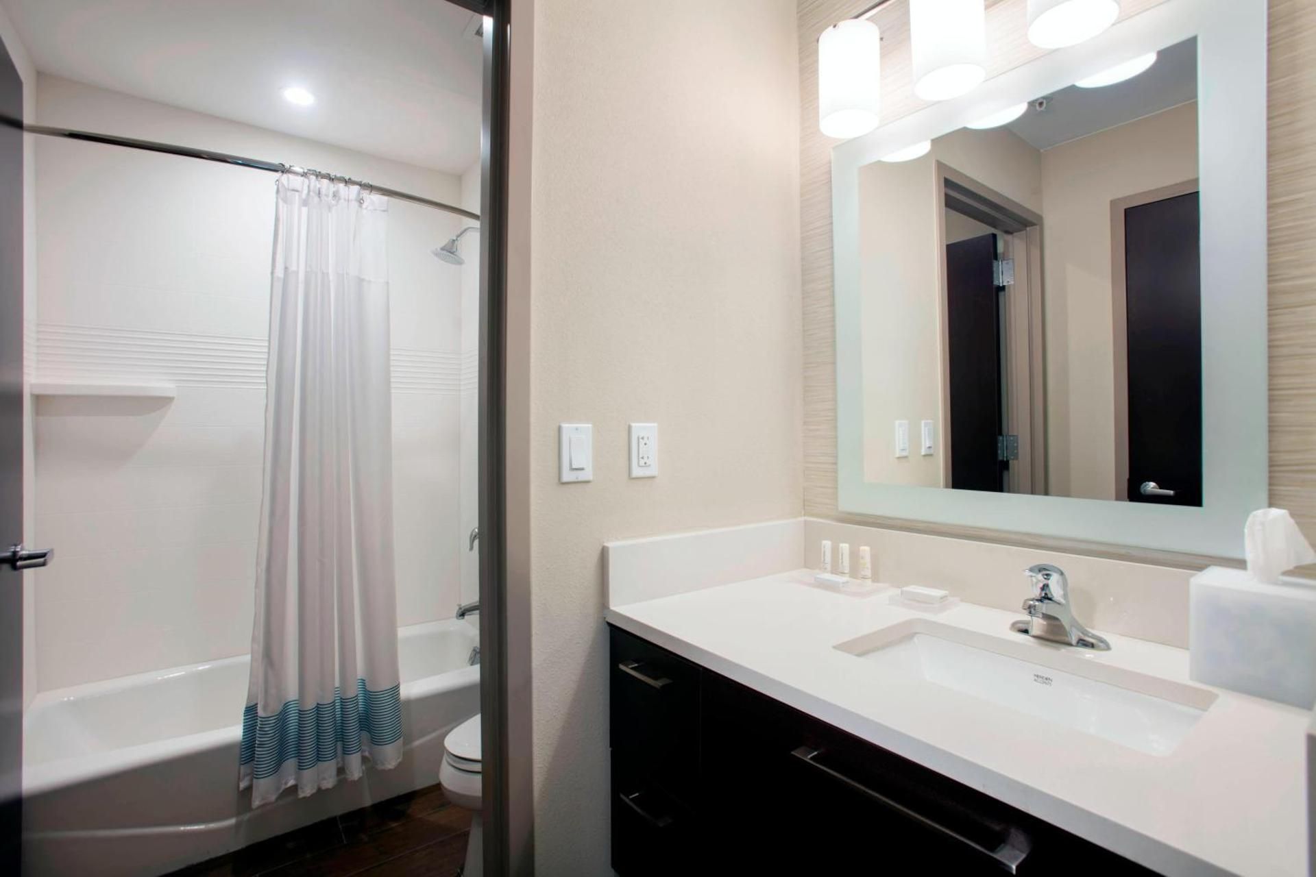 1 Bedroom Suite, 1 King, Sofa bed (Mobility Accessible w/Tub)