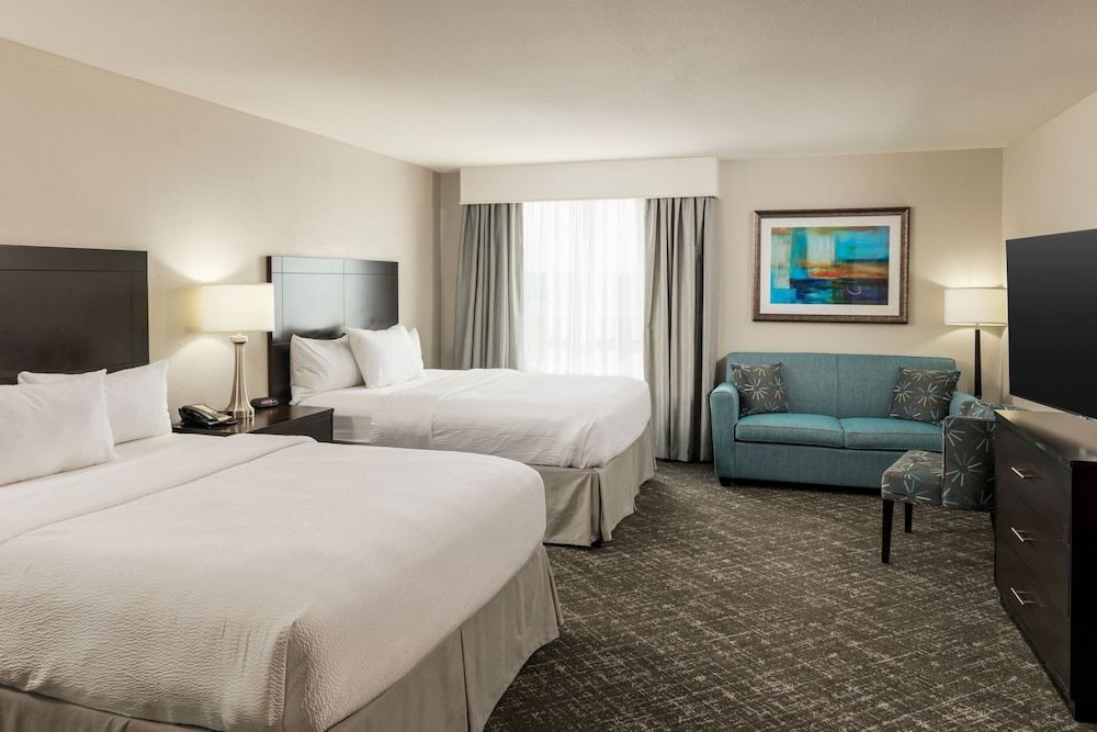 Studio Suite, Multiple Beds
