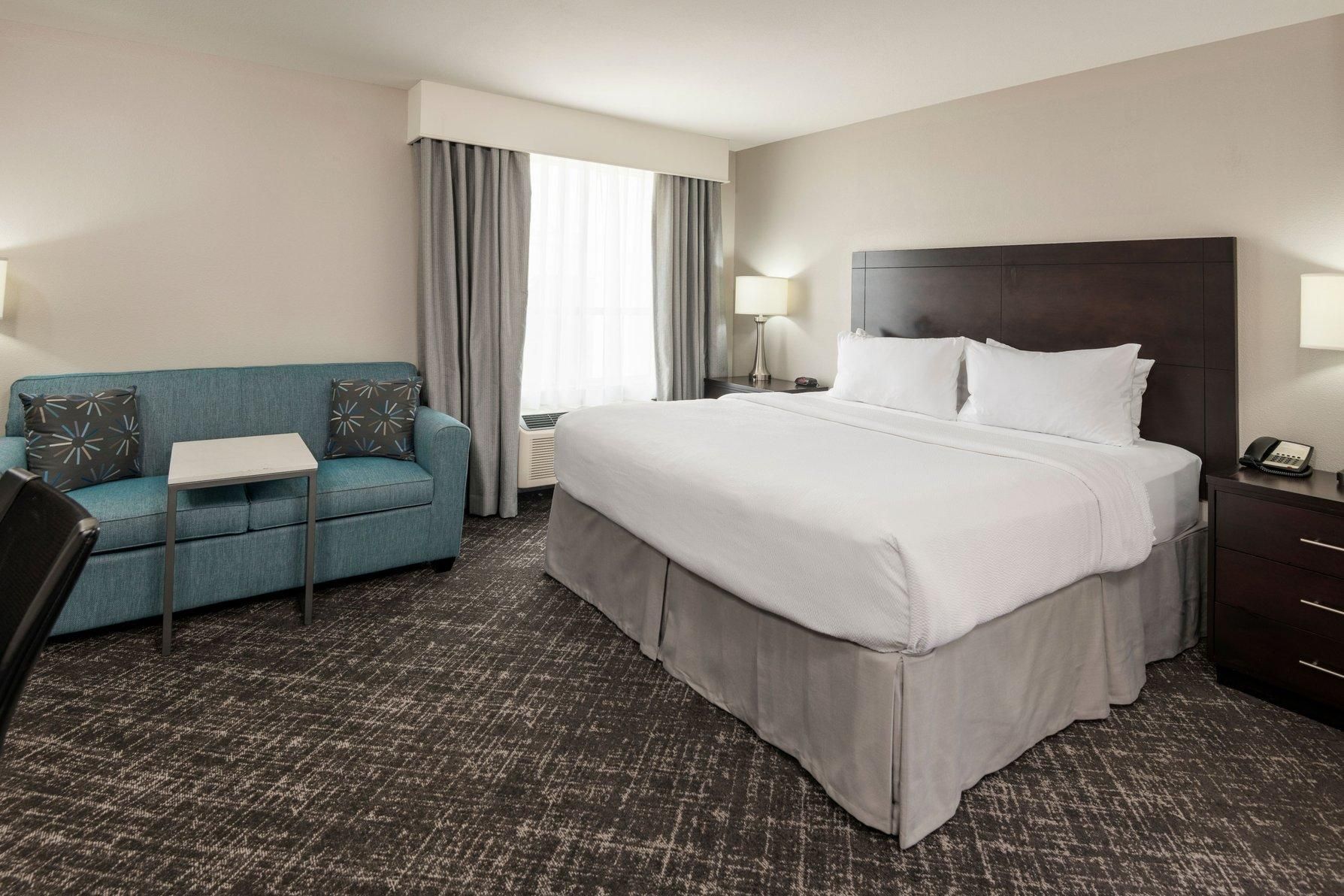 Studio Suite, 1 King, Sofa bed