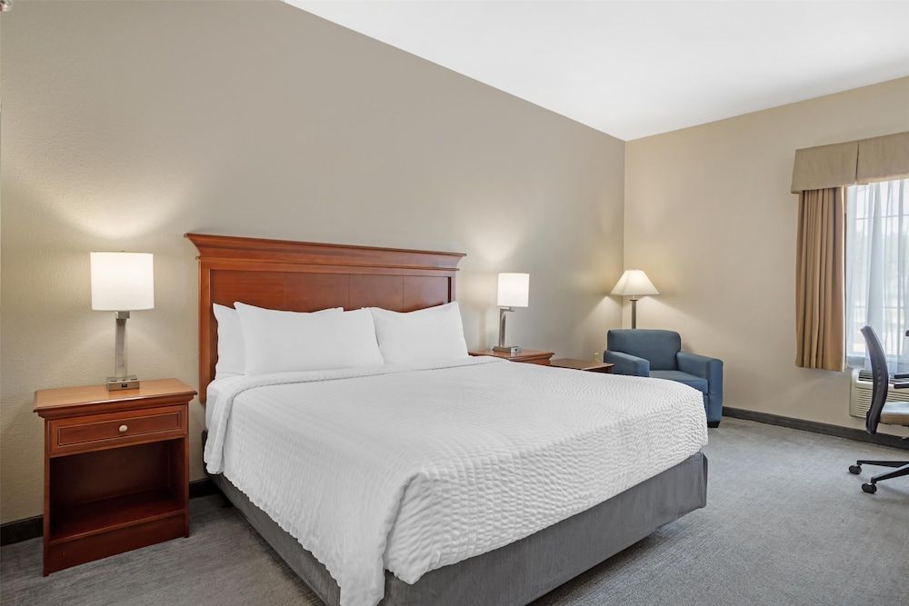 Standard Room, 1 King Bed, Non Smoking, Refrigerator & Microwave