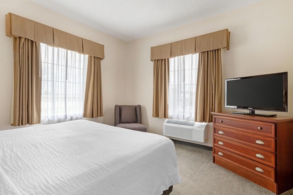 Suite, 1 King Bed, Non Smoking, Refrigerator & Microwave (with Sofabed)