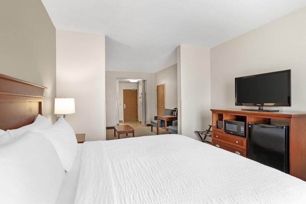 Standard Room, 1 King Bed, Non Smoking, Refrigerator & Microwave (Oversized Room;with Sofabed)