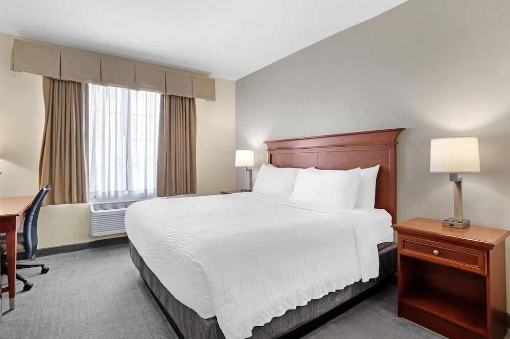 Standard Room, 1 King Bed, Non Smoking, Refrigerator & Microwave (Oversized Room;with Sofabed)