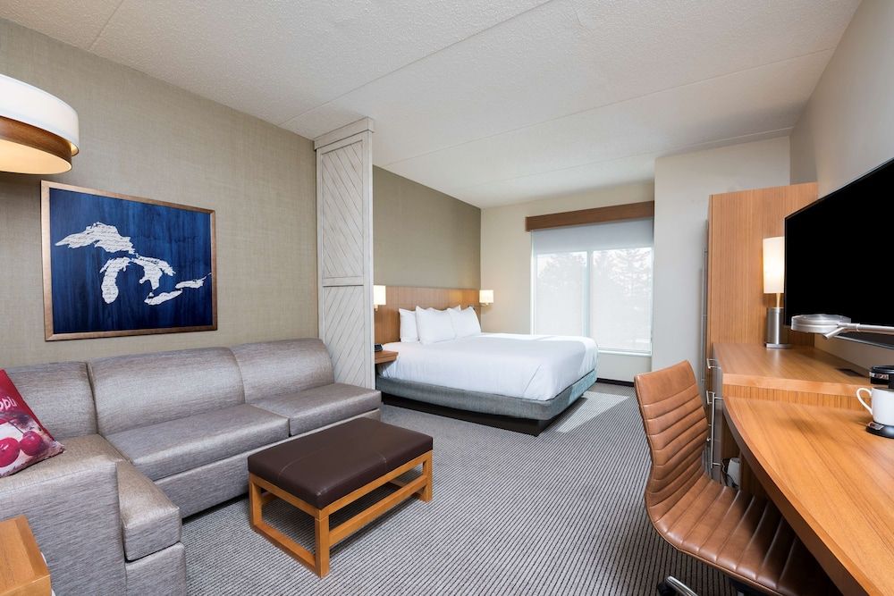 Room, 1 King Bed with Sofa bed