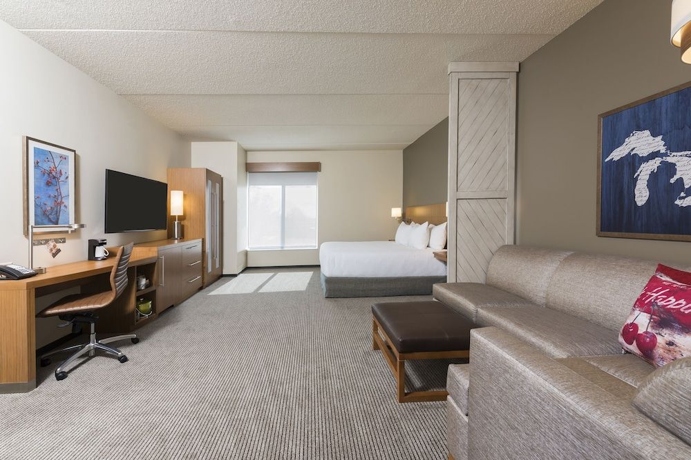 Room, 1 King Bed with Sofa bed, Accessible (With Shower)