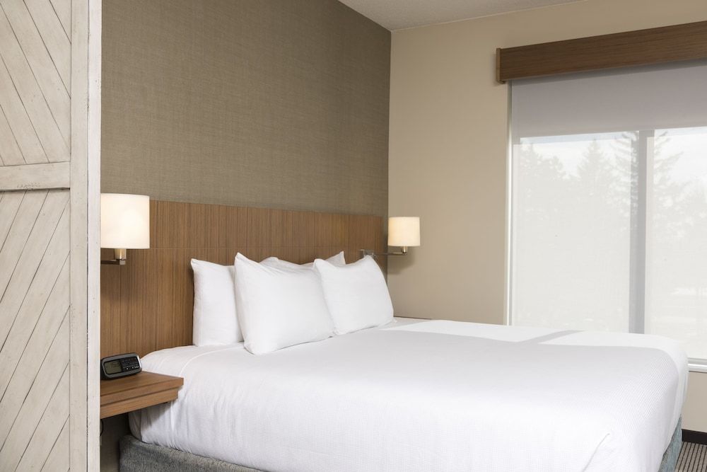 Room, 1 King Bed with Sofa bed (High Floor)