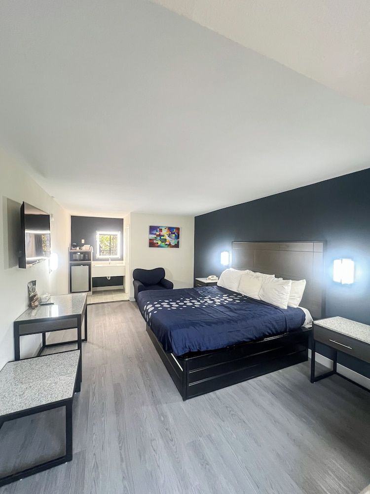 Standard Room, 1 King Bed, Non Smoking