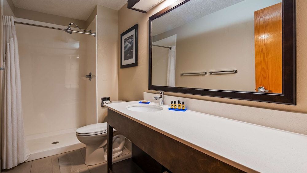 Suite, 1 King Bed, Non Smoking, Jetted Tub (with Sofabed)
