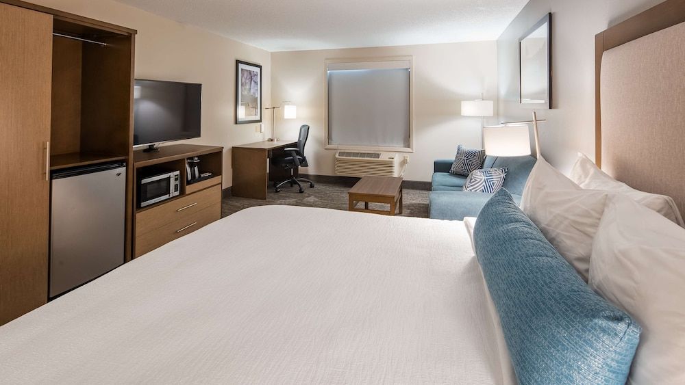 Standard Room, 1 King Bed, Non Smoking, Refrigerator & Microwave (with Sofabed)