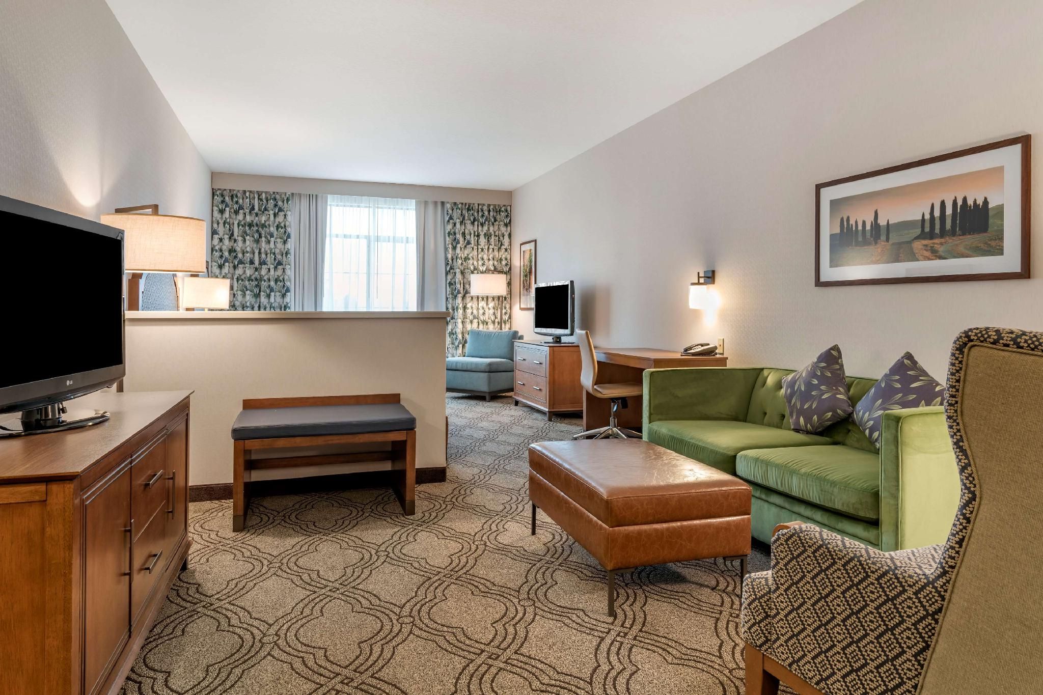 Suite - 1 King Bed, Nonsmoking, Sofabed