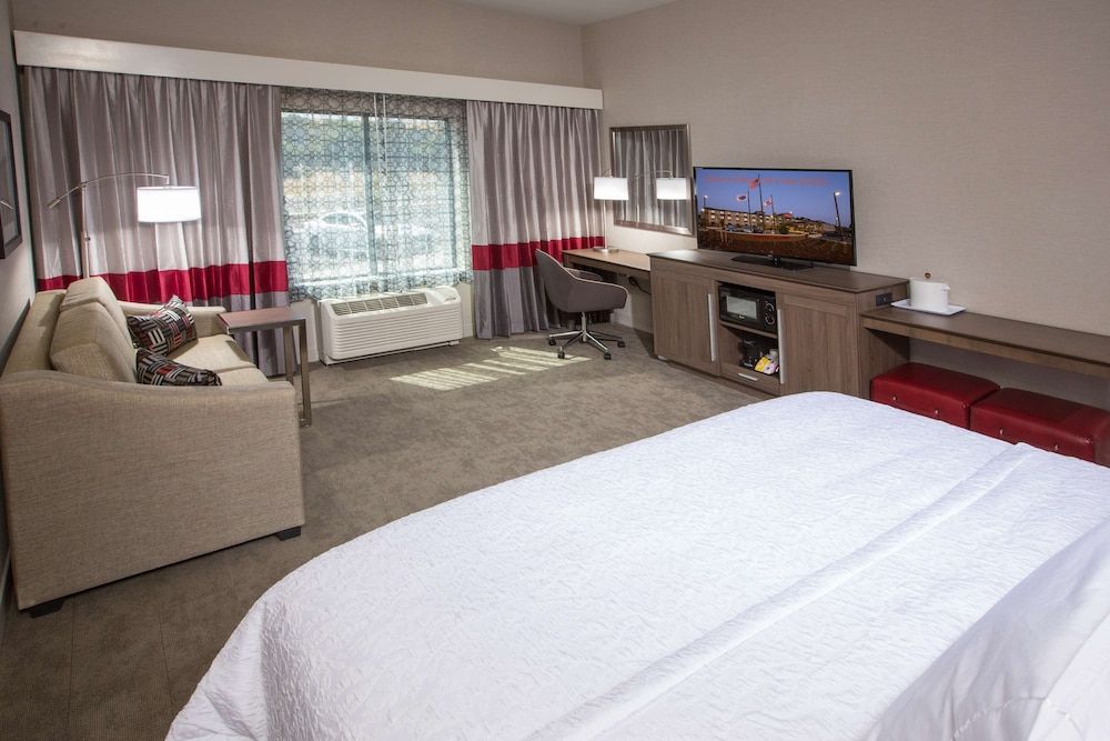 Room, 1 King Bed with Sofa bed, Non Smoking, Refrigerator & Microwave