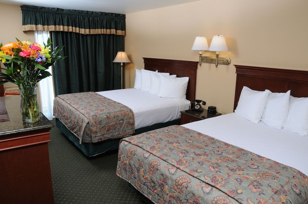 Standard Double Room, 2 Queen Beds
