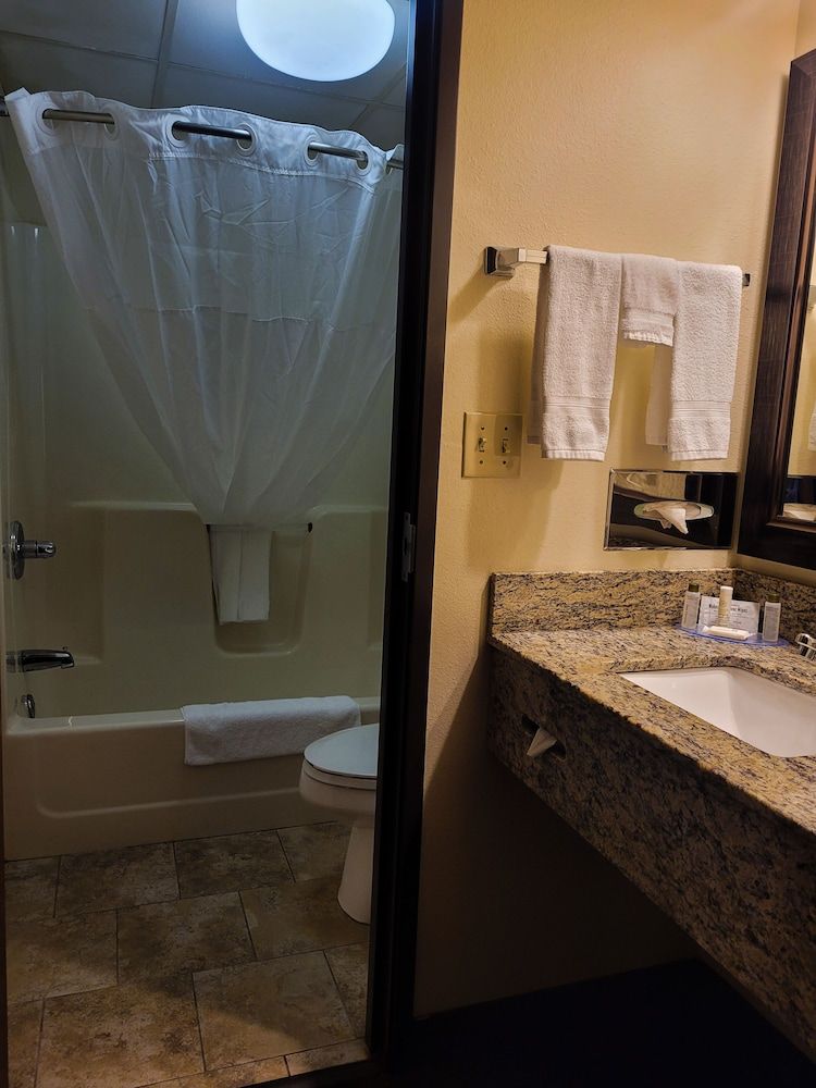 Business Room, 1 King Bed, Non Smoking