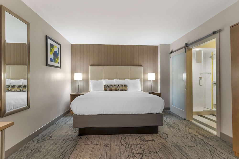 Best Western Red Coach Inn Standard Room, 1 King Bed, Non Smoking, Refrigerator (with Sofabed) 2