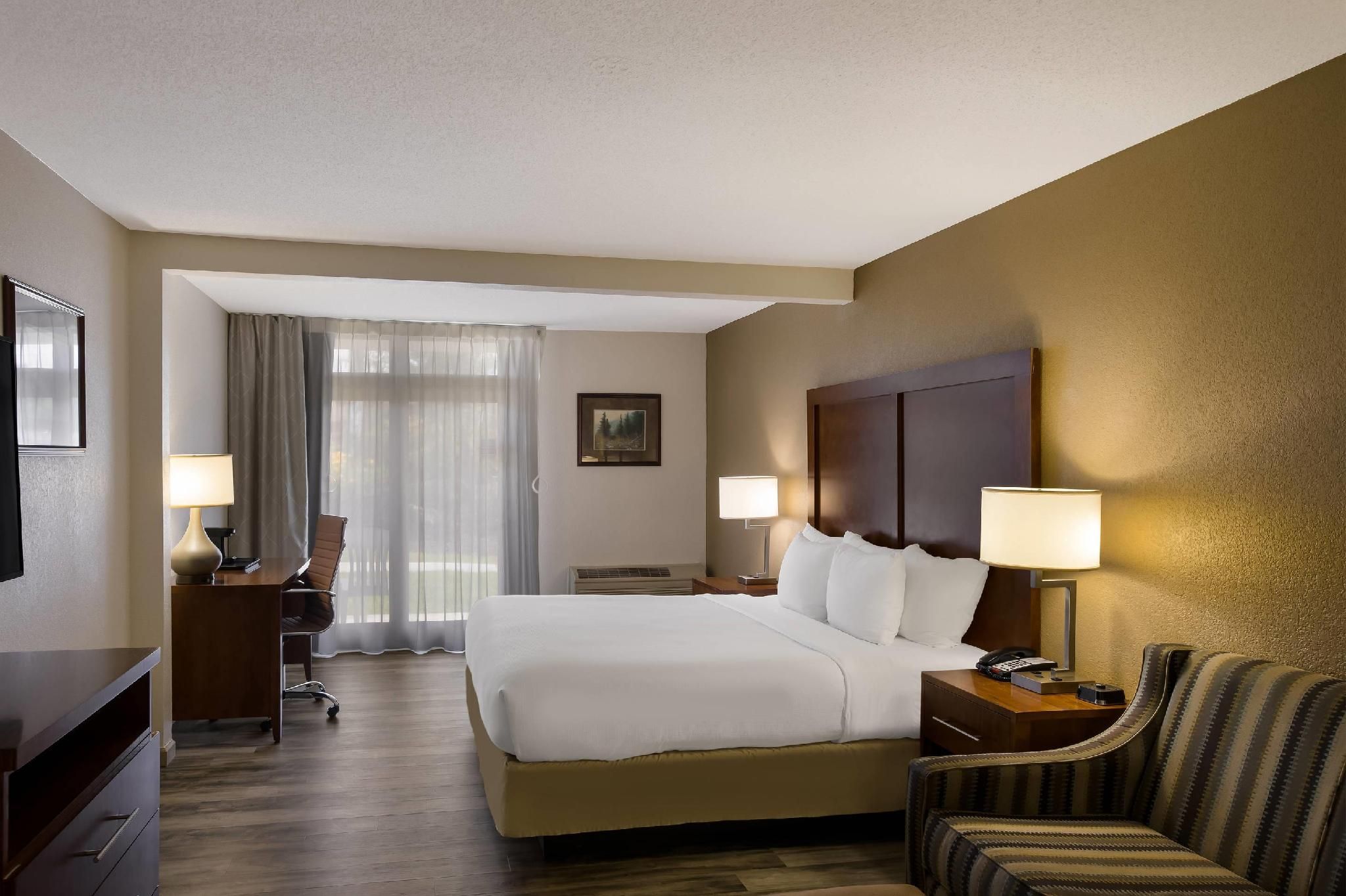 1 King Bed, Nonsmoking, Accessible