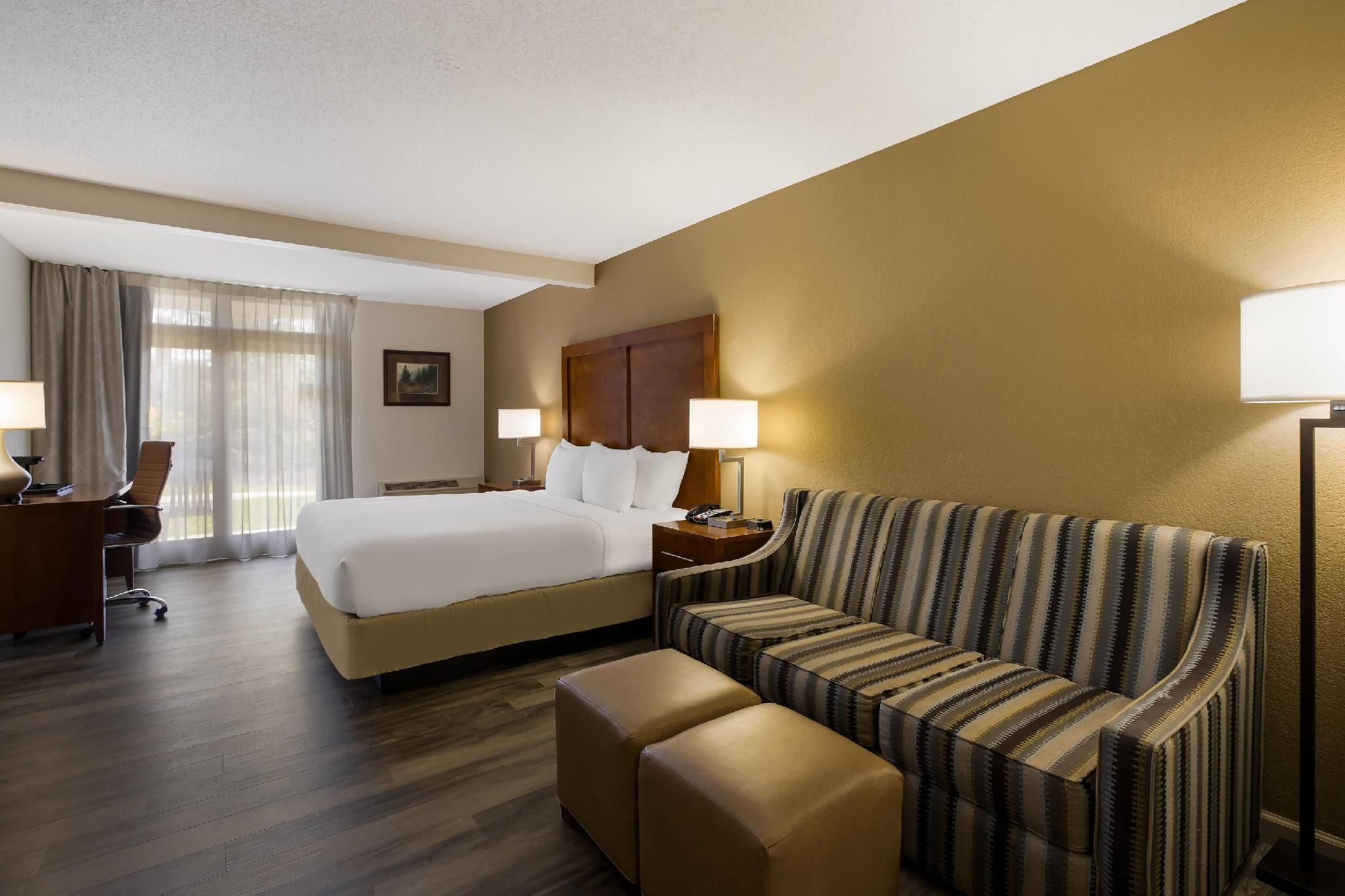 1 King Bed, Nonsmoking, Accessible