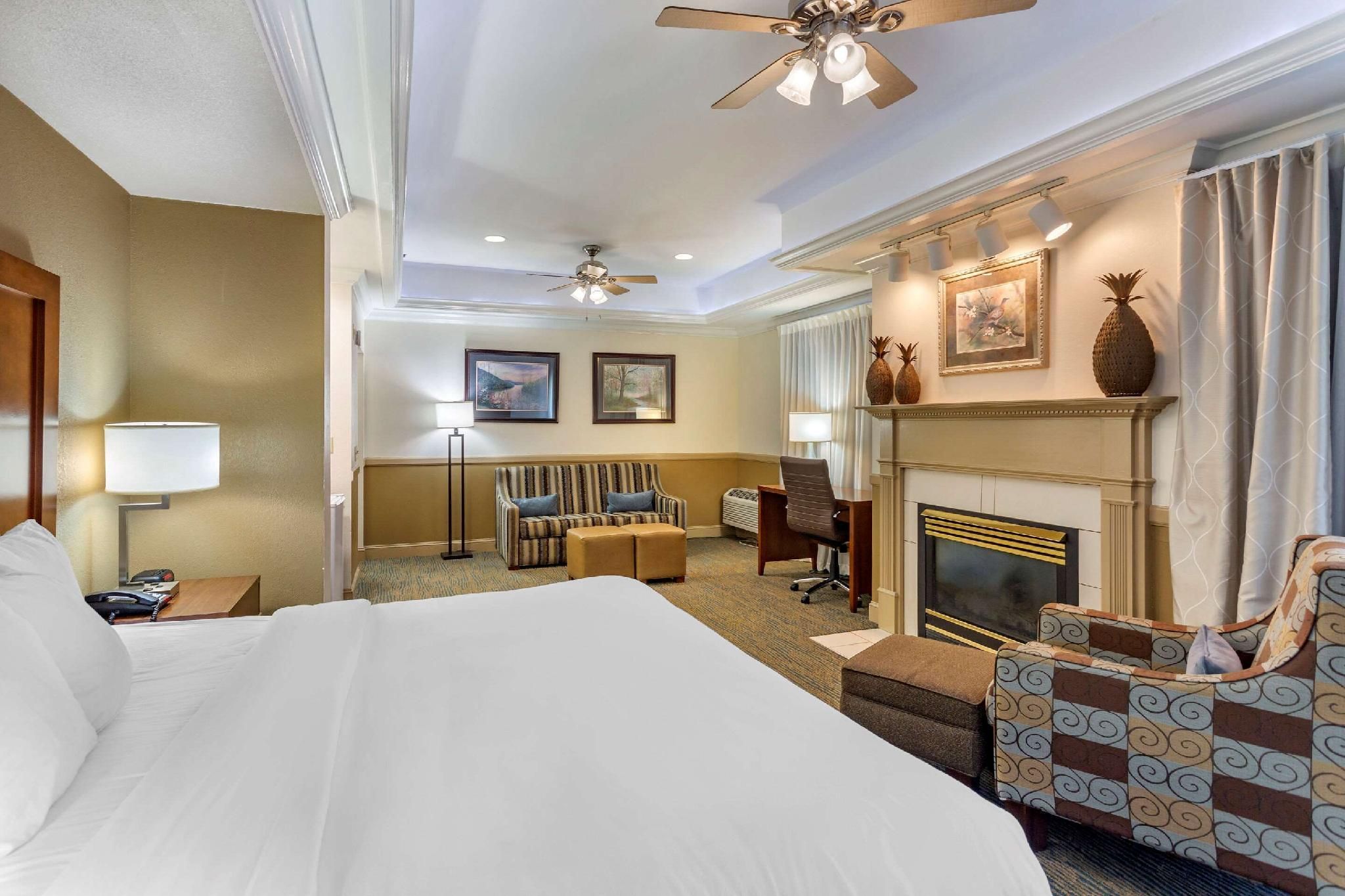 1 King Bed Efficiency Suite Nonsmoking