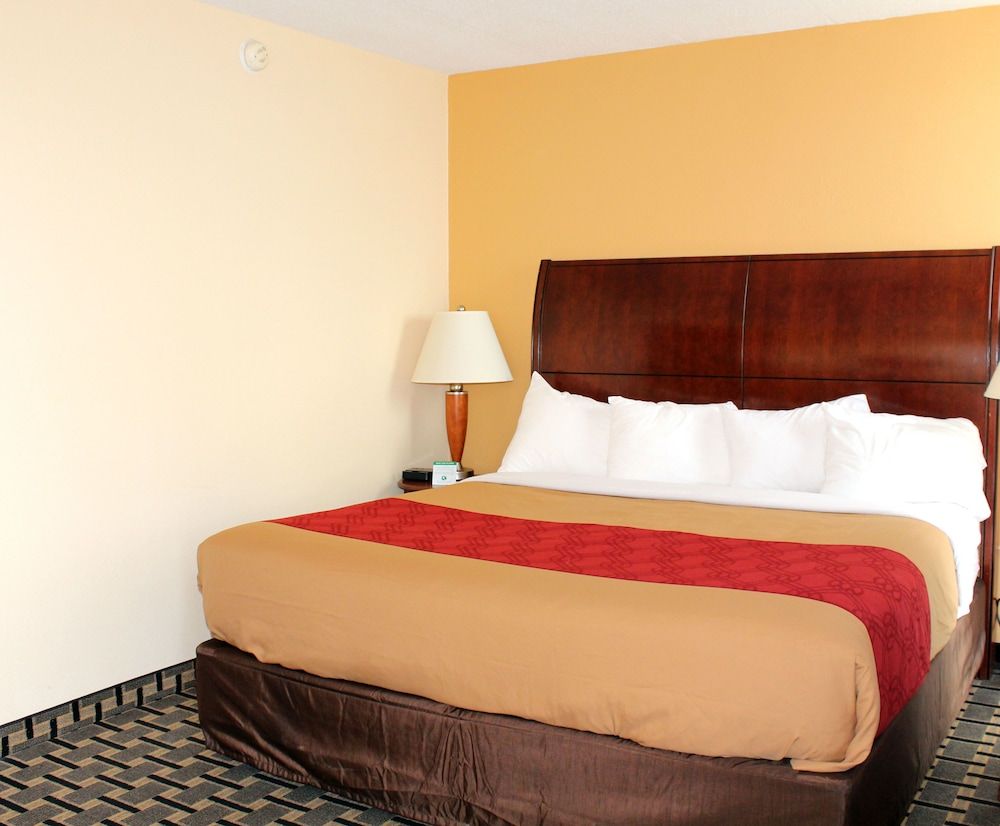 Standard Room, 1 King Bed, Non Smoking