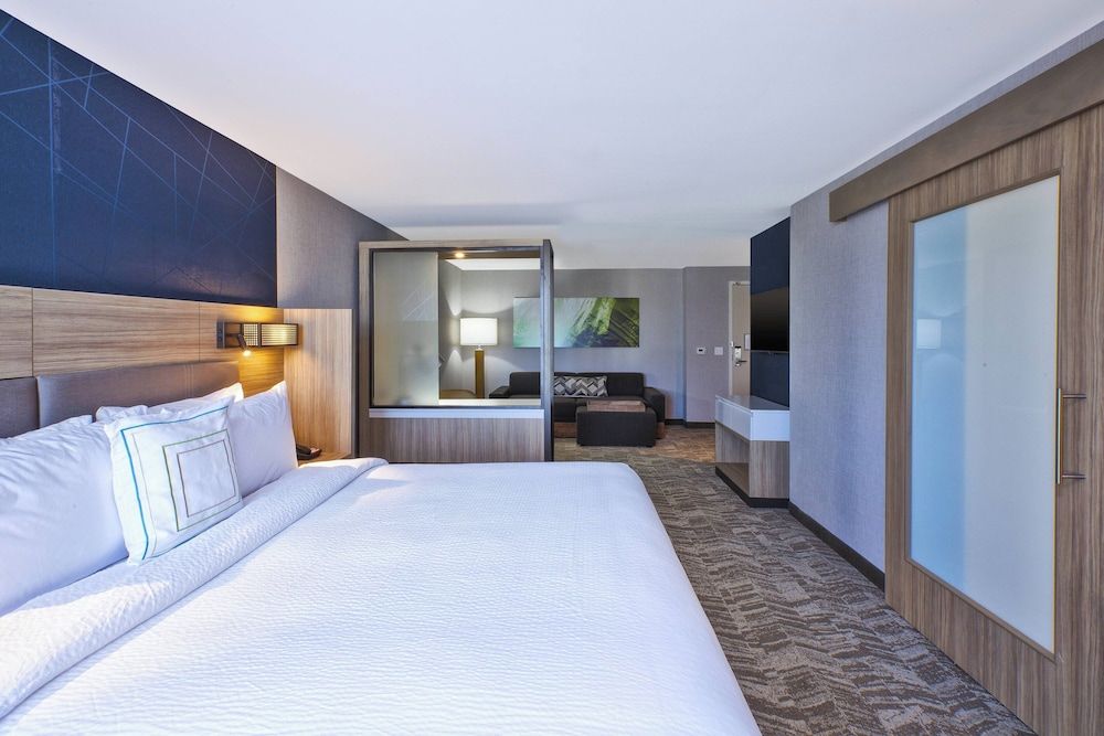 Suite, 1 King Bed with Sofa bed, Non Smoking (Hearing Accessible)