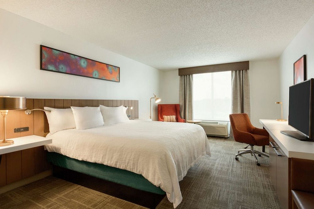 Room, 1 King Bed