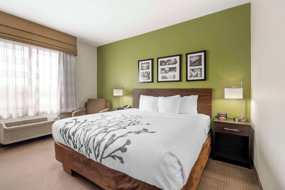 Standard Room, 1 King Bed, Non Smoking (Shower Only)