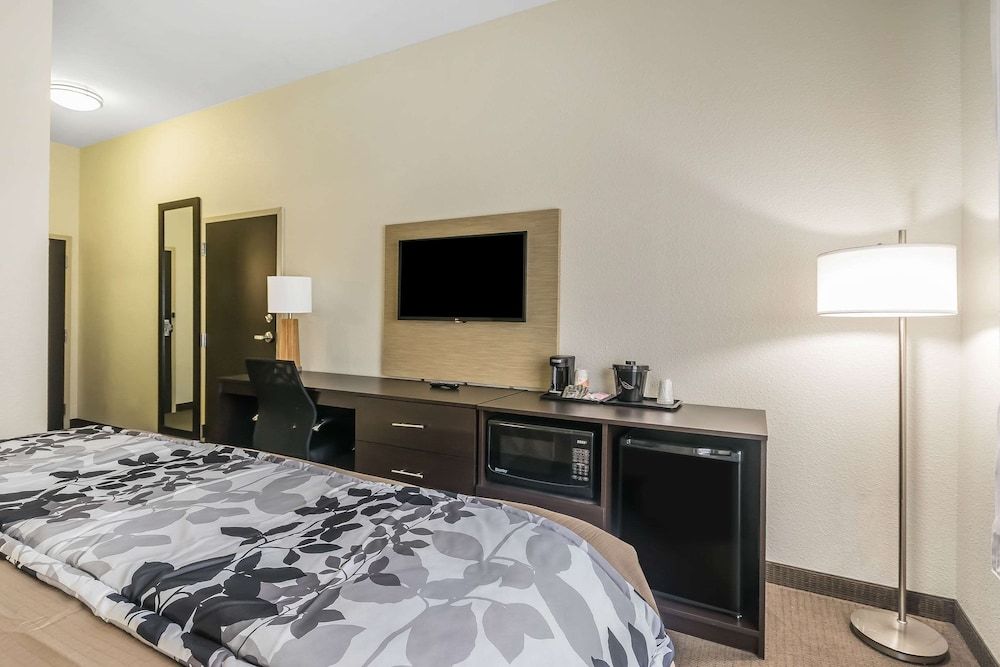 Room, 1 King Bed, Accessible, Non Smoking