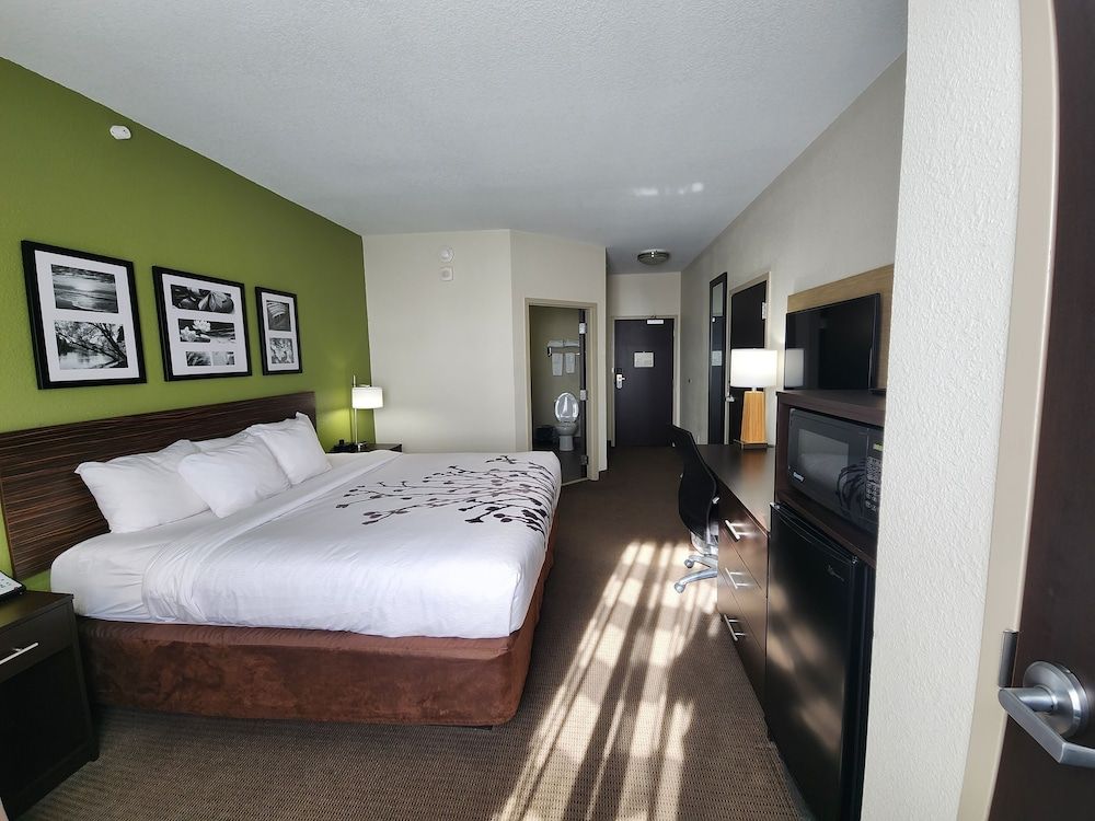Standard Room, 1 King Bed, Non Smoking (Shower Only)